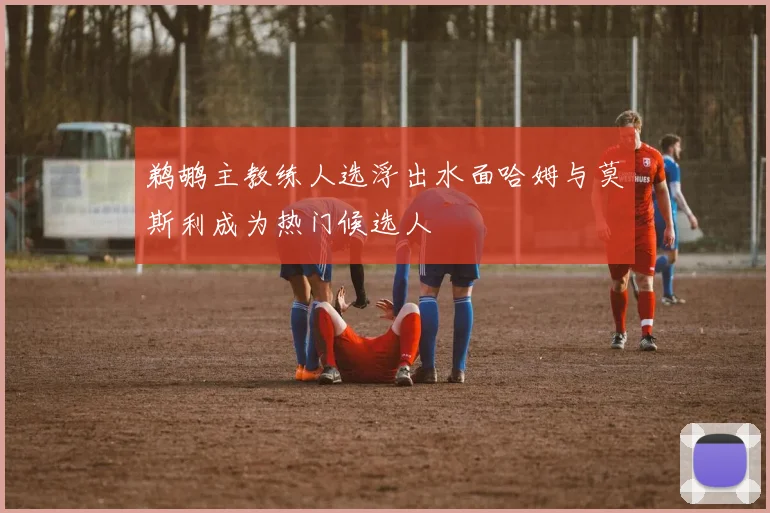 鹈鹕主教练人选浮出水面哈姆与莫斯利成为热门候选人