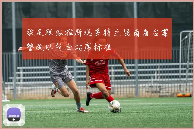 欧足联拟推新规多特主场南看台需整改以符合站席标准